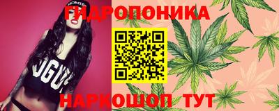эйфоретик Будённовск