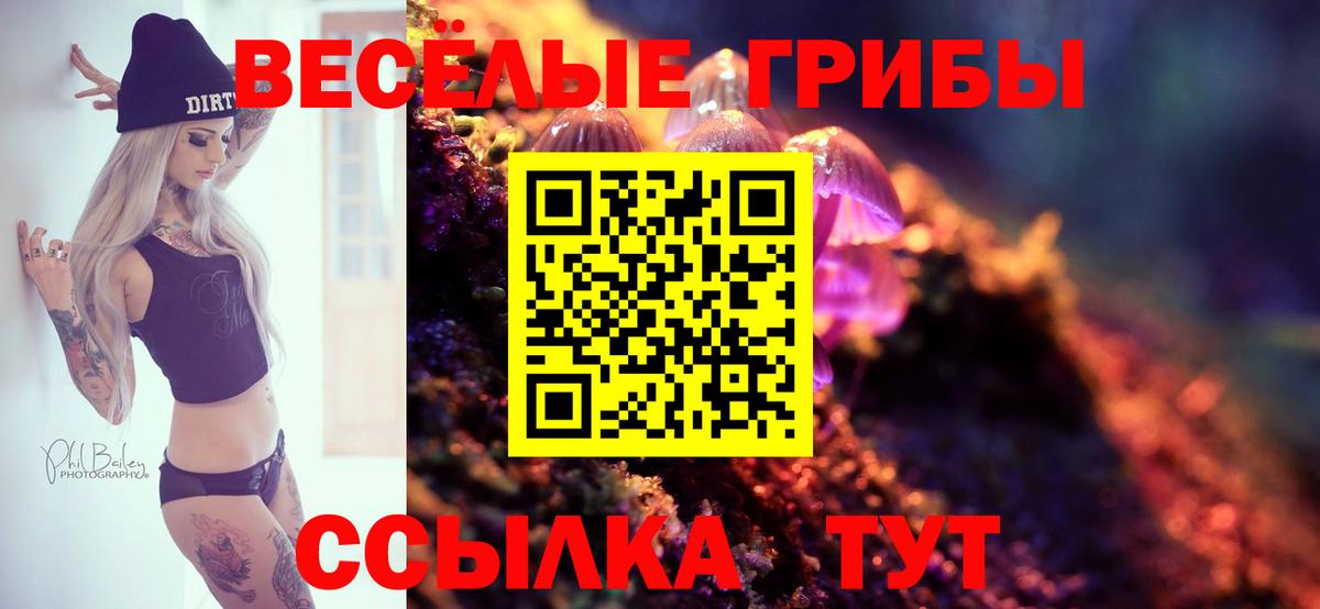 Псилоцибиновые грибы MAGIC MUSHROOMS Родники